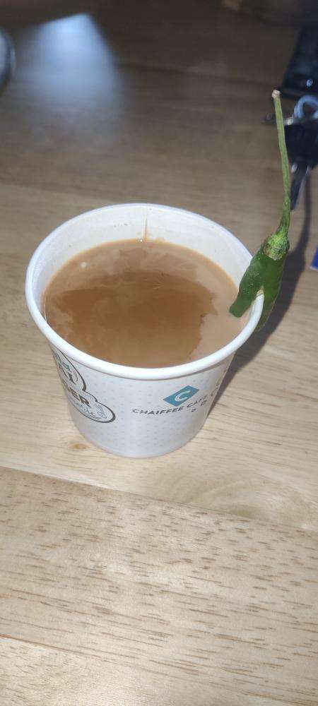 CAFÉ EN MONODOSIS E.S.E - TUESTE CLÁSICO – Bangalore Coffee and Tea