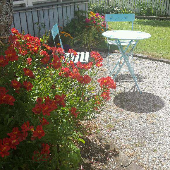 Walnut Cottage Cafe Orewa Auckland