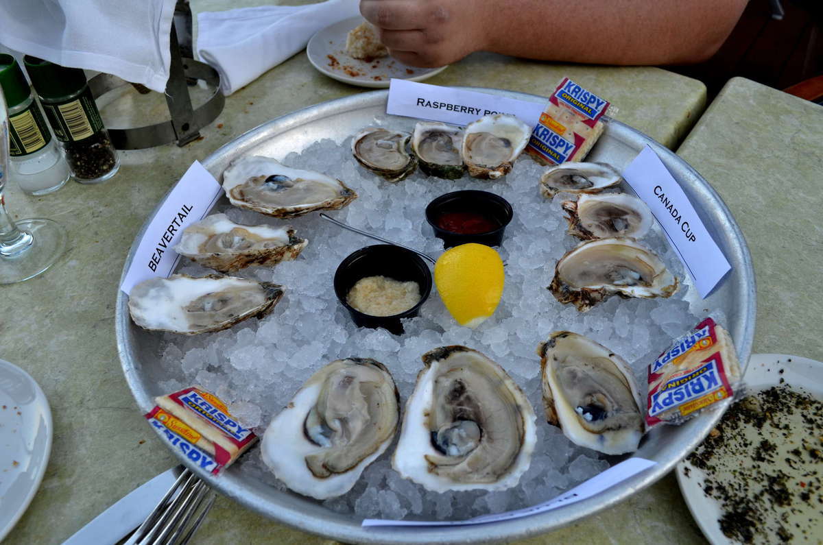 Menu of Salt Rock Grill, Indian Shores, Tampa Bay