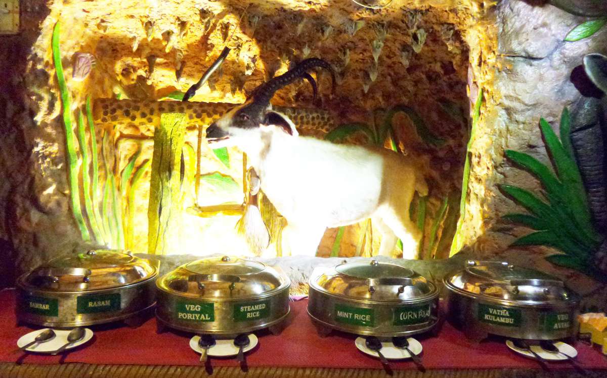 Top Five Animal Kingdom Adyar Contact Number