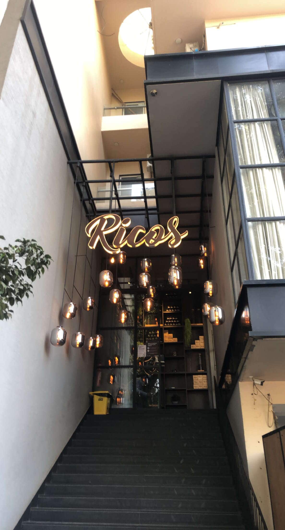 Rico's Cafe bar lounge Franchise