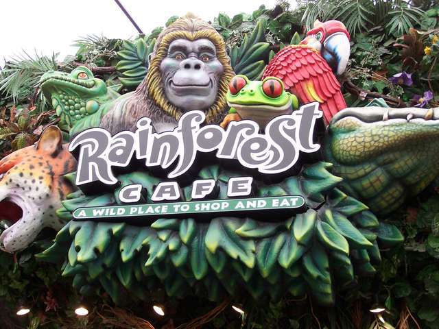 Rainforest Cafe Photos, Pictures of Rainforest Cafe, Sunrise, Miami ...