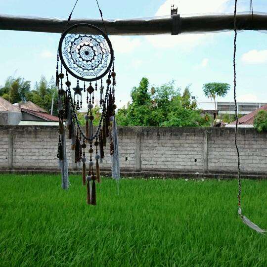 Kreol Kitchen Photos Pictures Of Kreol Kitchen Seminyak Bali