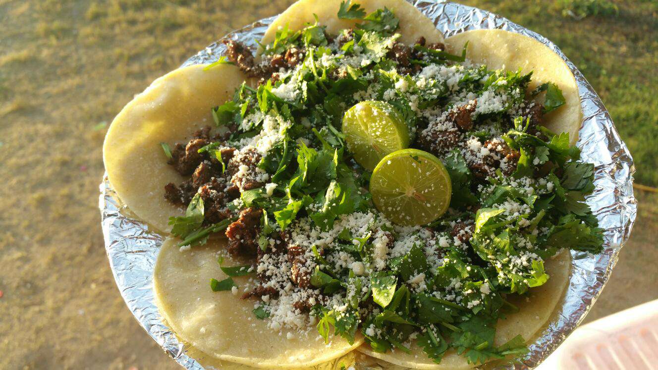 La Maceta Tapatios Photos Pictures Of La Maceta Tapatios Alamo