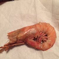 Old Bay Steamer Fort Walton Beach Hours Old Bay Steamer Fort Walton Beach Hours