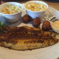 Iguanas Seafood Restaurant St Simons Island Saint Simons