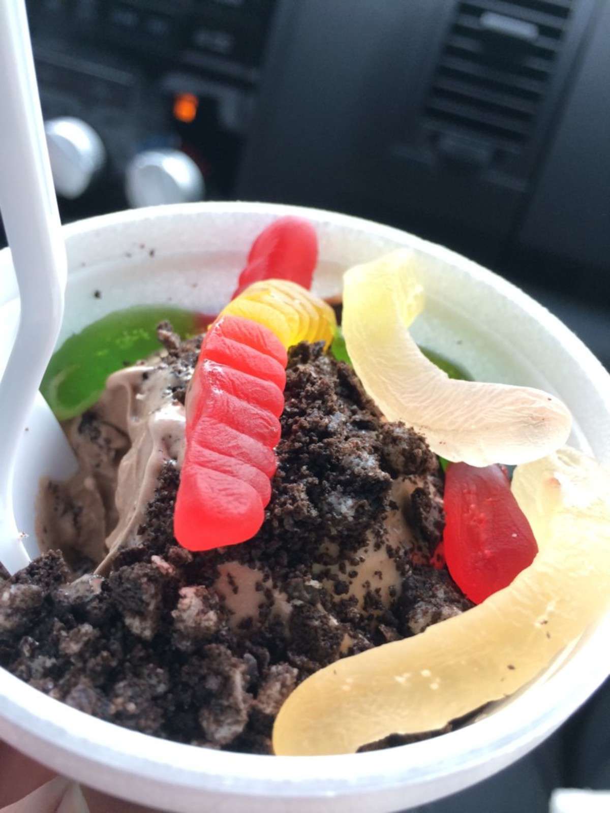 Ritter's Frozen Custard, Franklin, Indianapolis Zomato