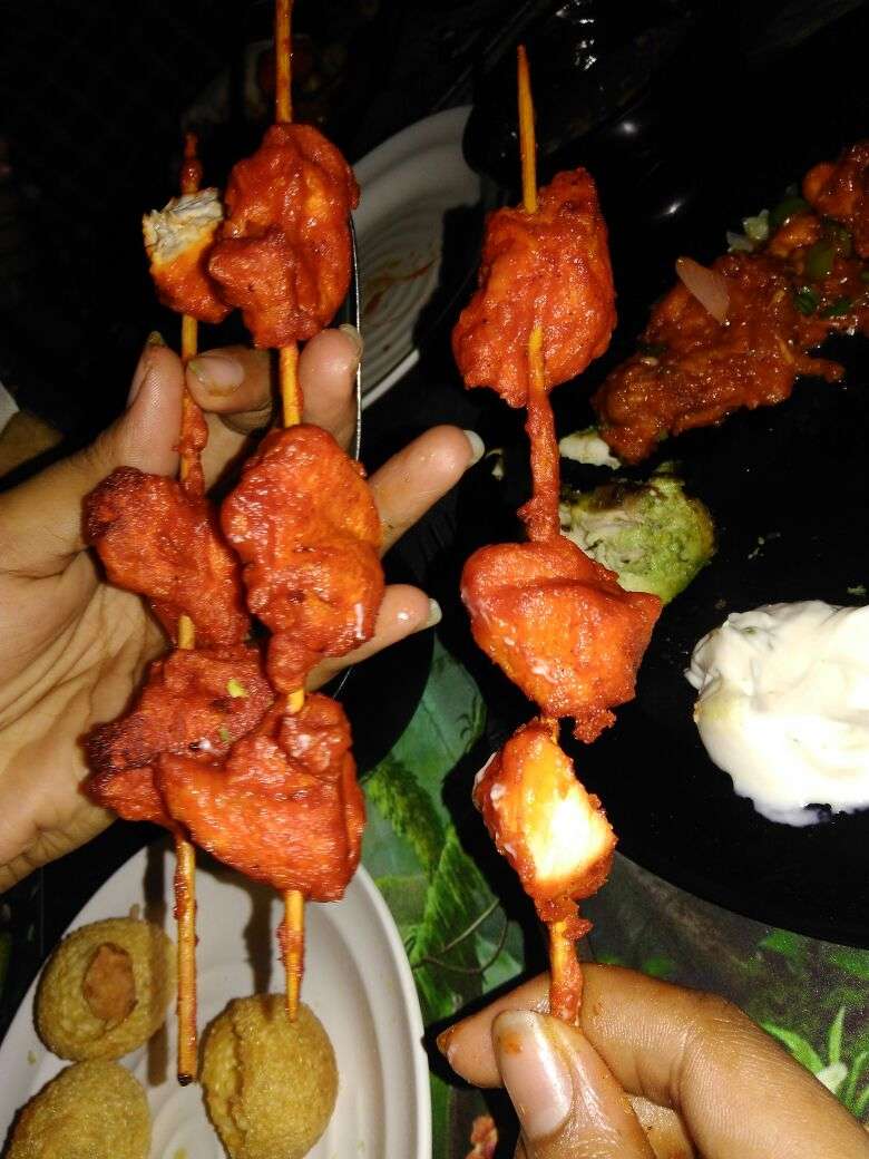 Animal Kingdom, Adyar, Chennai - Restaurant - Zomato