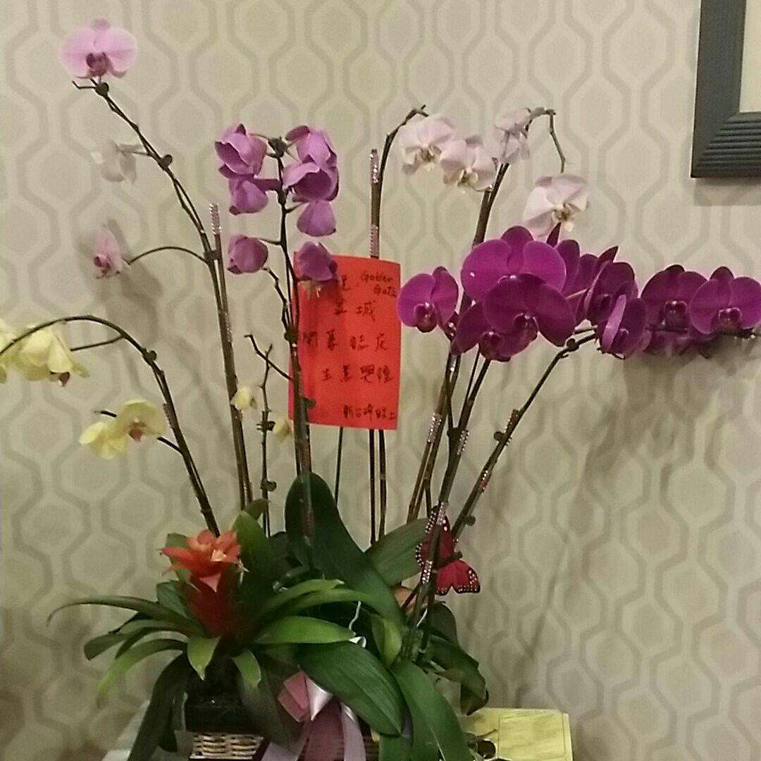 Golden Gate Restaurant Victorville Victorville Zomato