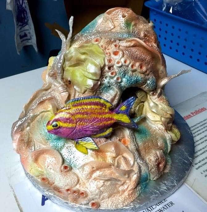 Cake Specialists, Bellevue, Omaha Zomato