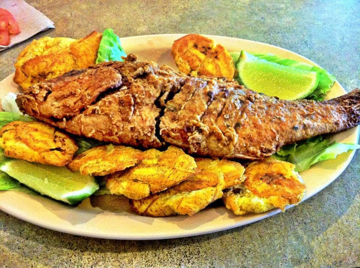 Pollo Tipico, Davie, Miami Zomato