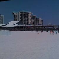 Pineapple Willy S Photos Pictures Of Pineapple Willy S