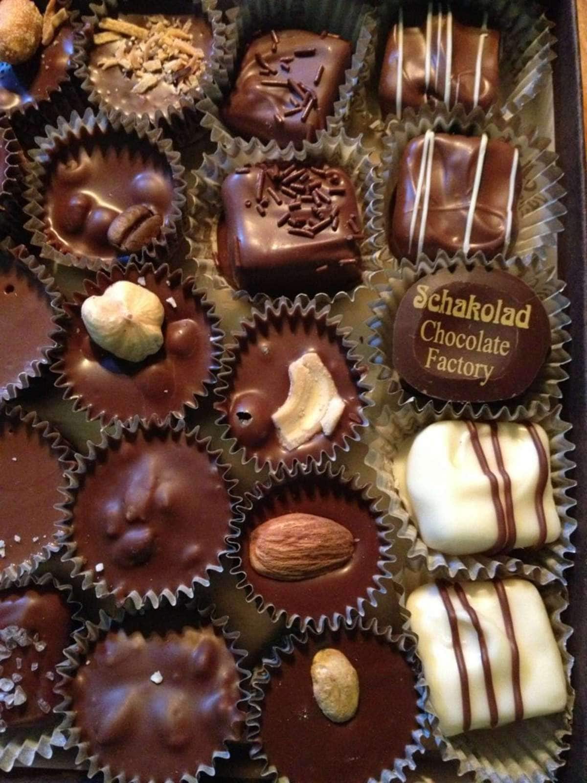 Schakolad Chocolate Factory, Farragut, Knoxville Zomato