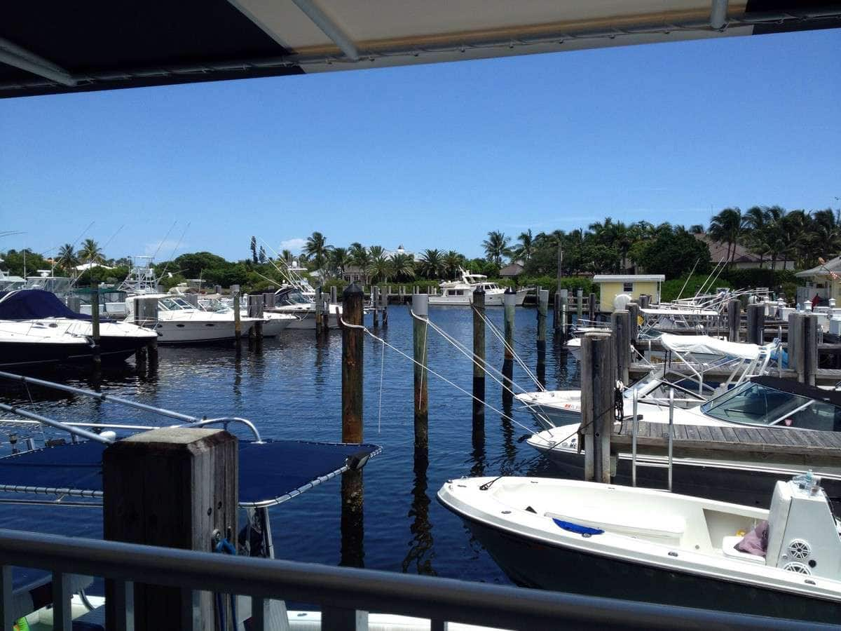 The Nauti Dawg Marina Cafe Lighthouse Point Miami