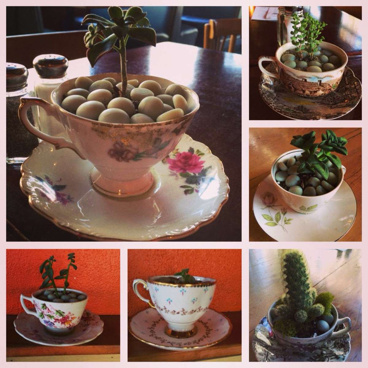 Menu of Cup & Saucer Cafe, North, Portland