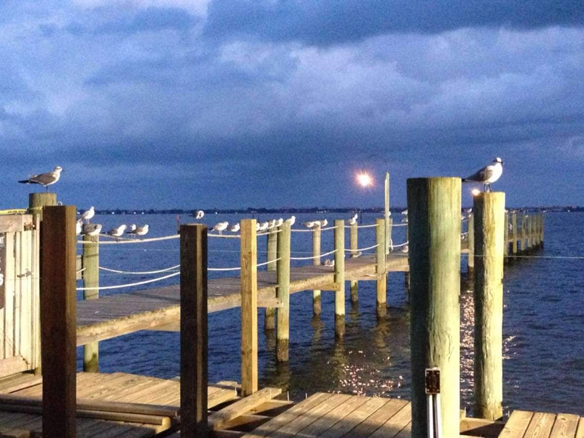 Menu of The Dolphin Bar & Shrimp House, Jensen Beach, Treasure Coast