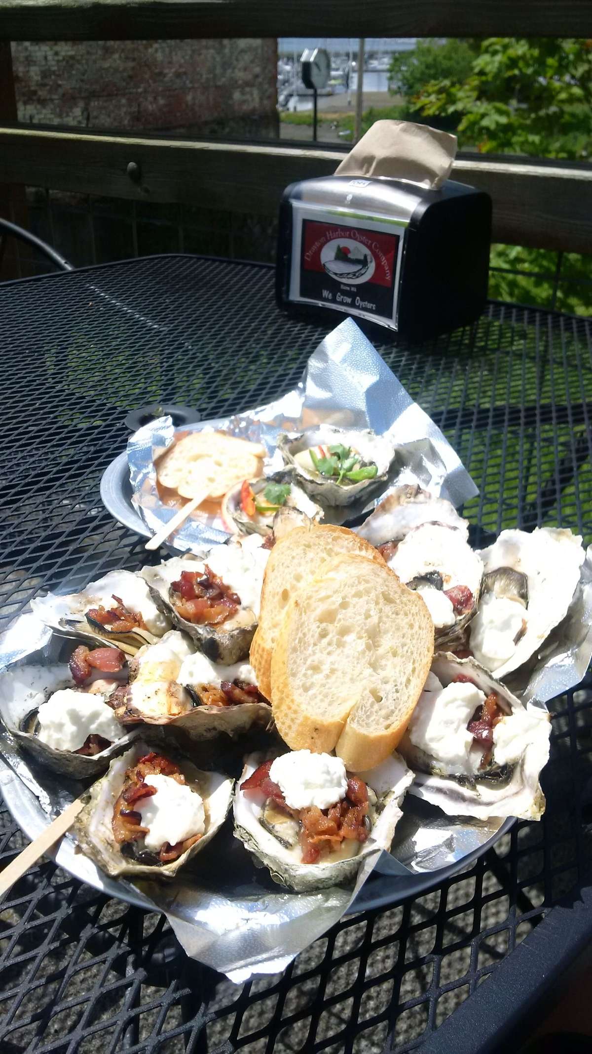Drayton Harbor Oyster Company, Blaine, Bellingham Zomato