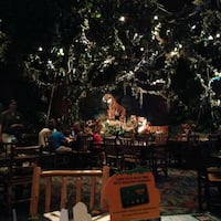 Grapevine Rainforest Cafe Hours Grapevine Rainforest Cafe Hours