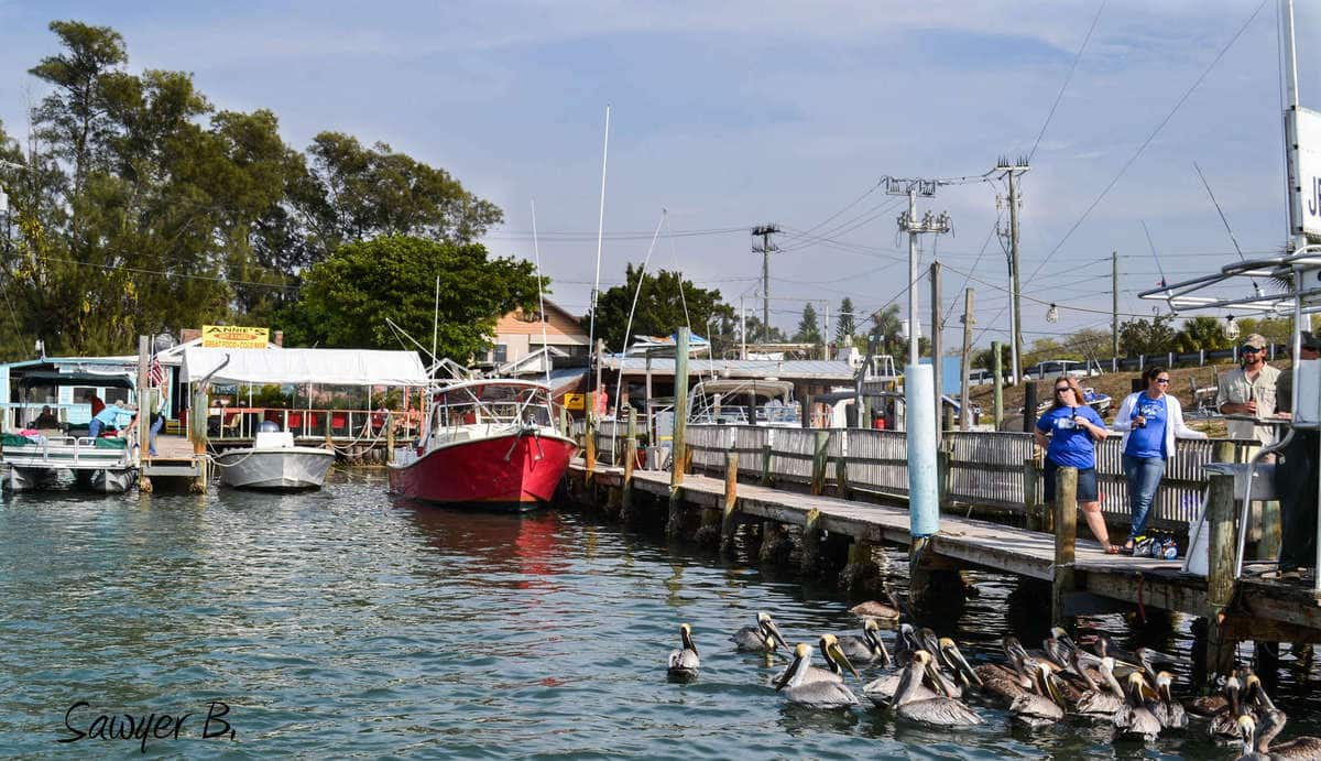 annie's bait shop