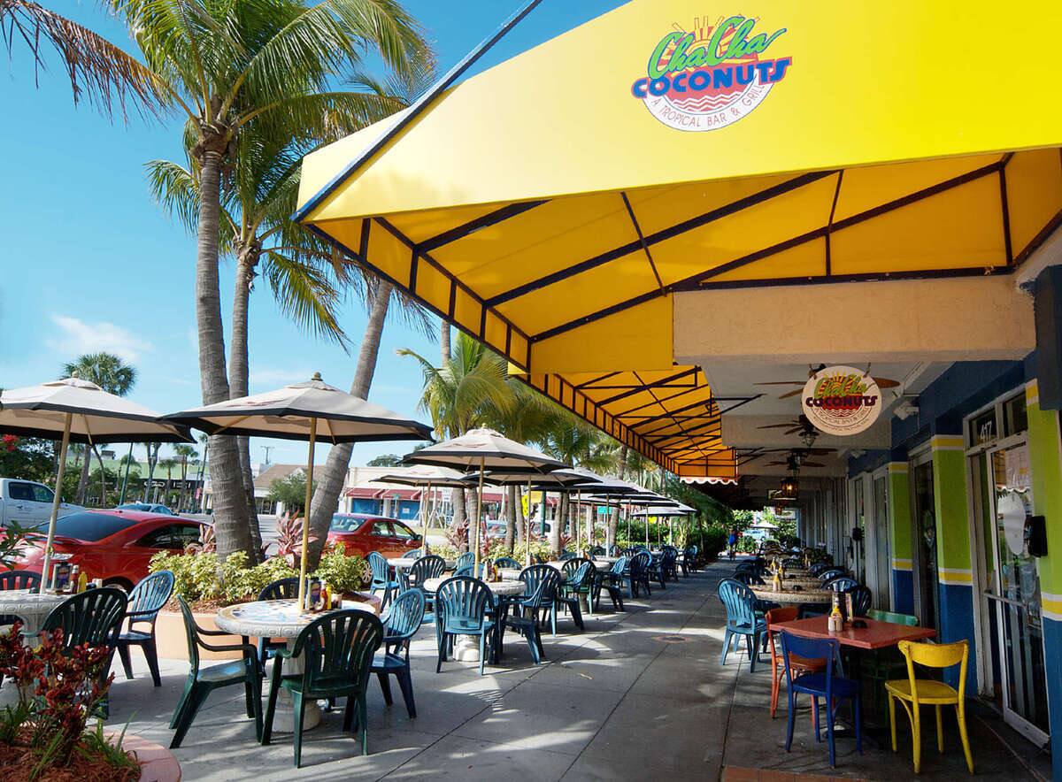 Cha Cha Coconuts, Sarasota, Tampa Bay | Zomato