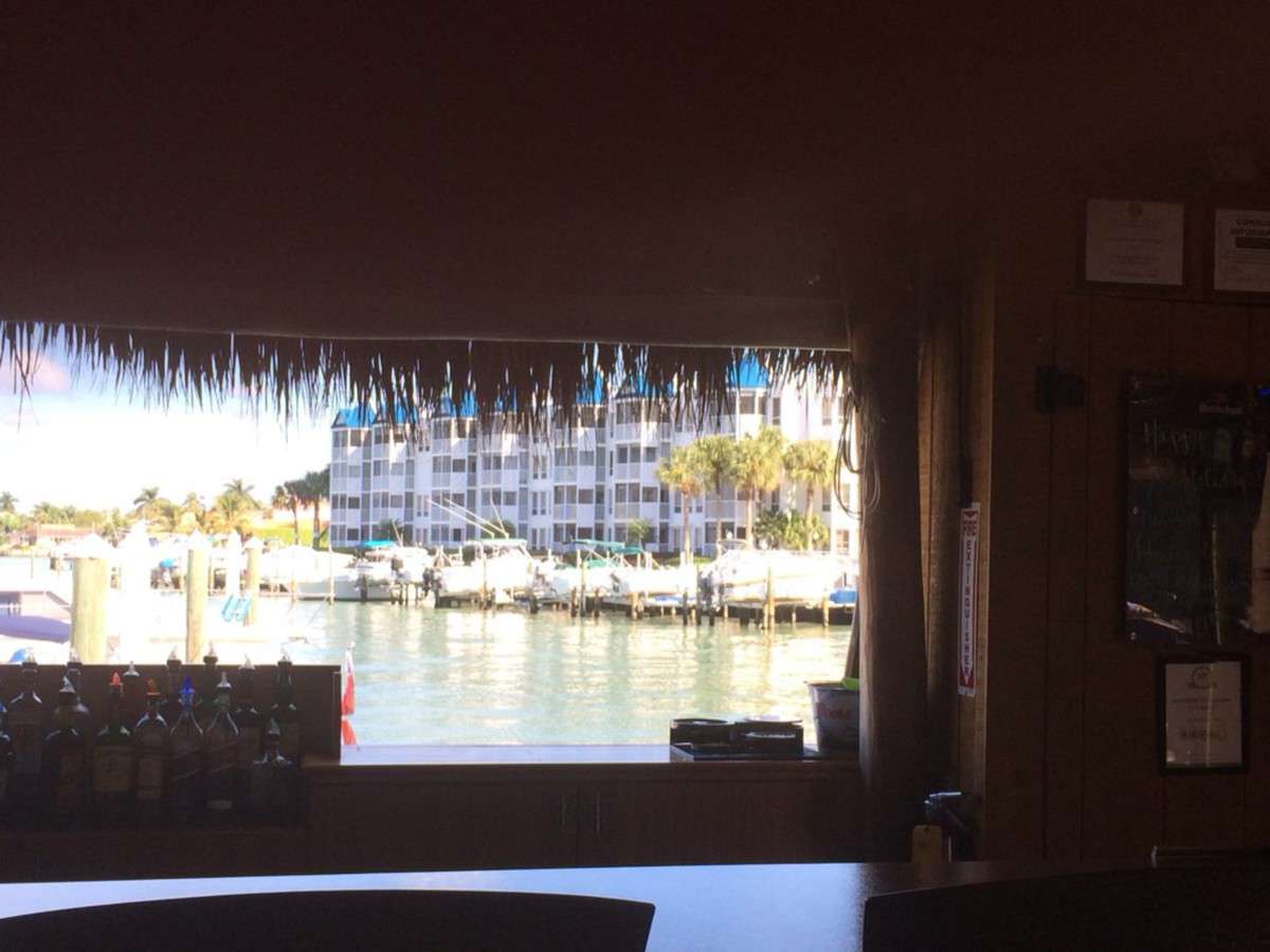 Dolphin Tiki Bar And Cafe, Marco Island, Marco Island Zomato