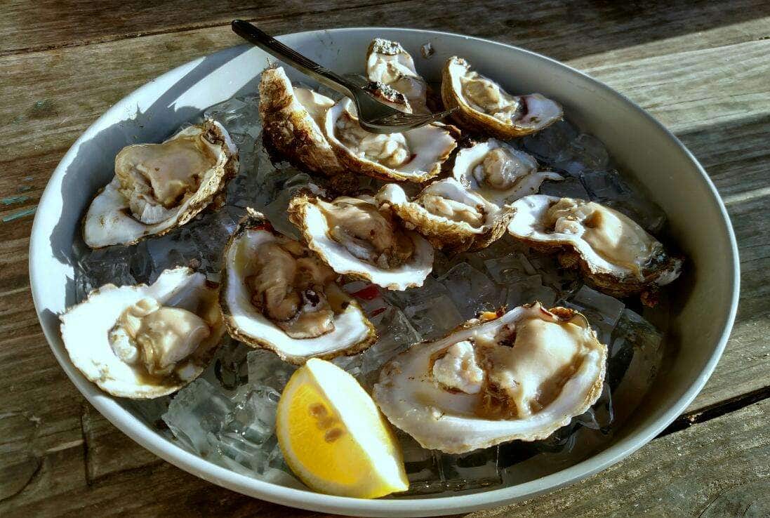 Bird's Aphrodisiac Oyster Shack, Tallahassee, Tallahassee