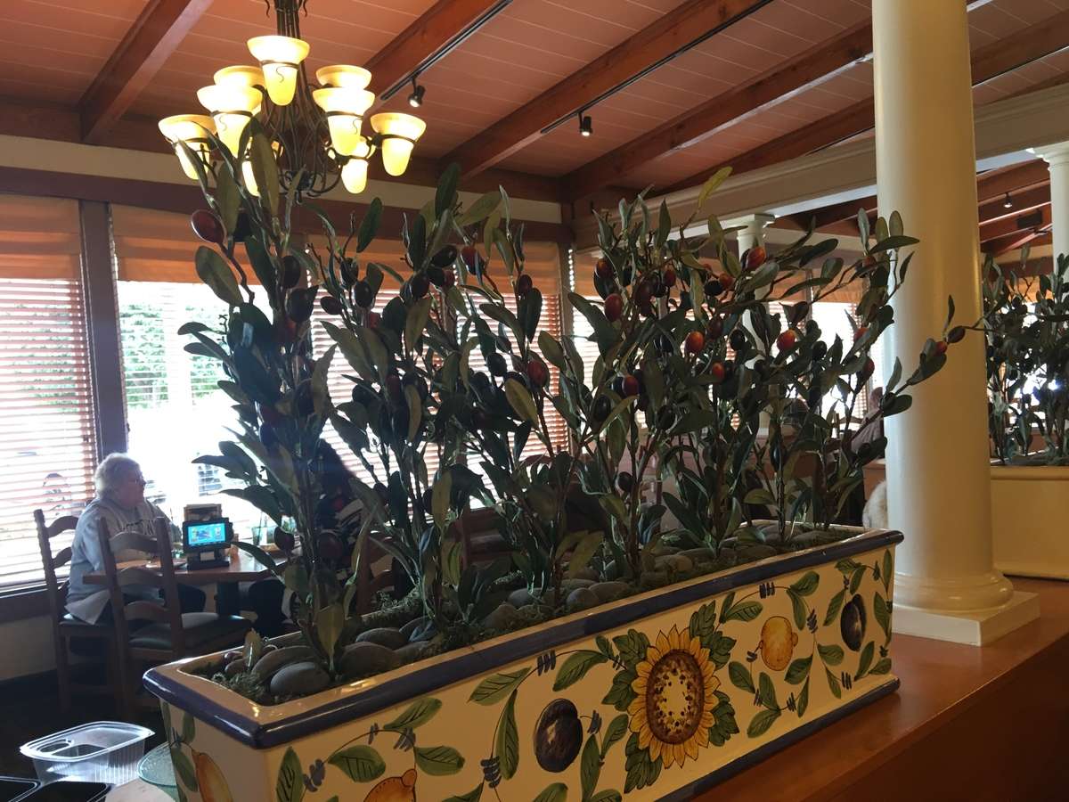Olive Garden Italian Restaurant Photos Pictures Of Olive Garden