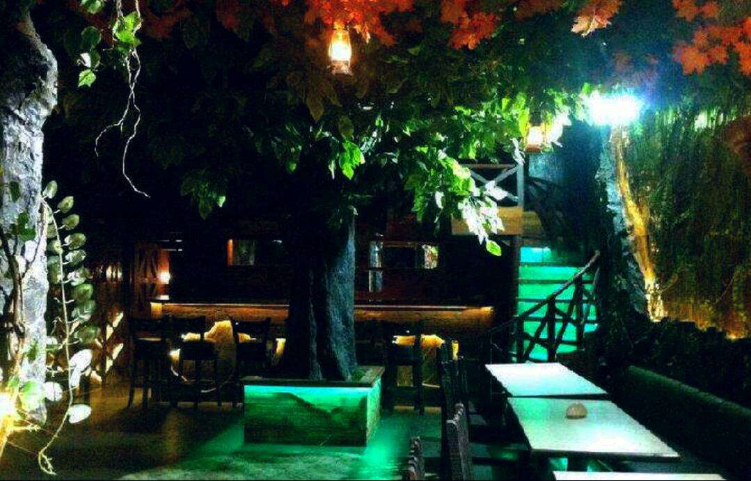 Tanyaroxane's review for Rainforest RestoBar, CBDBelapur, Navi Mumbai