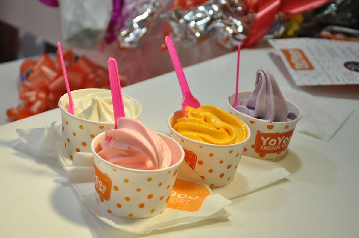 frozen yogurt bangalore