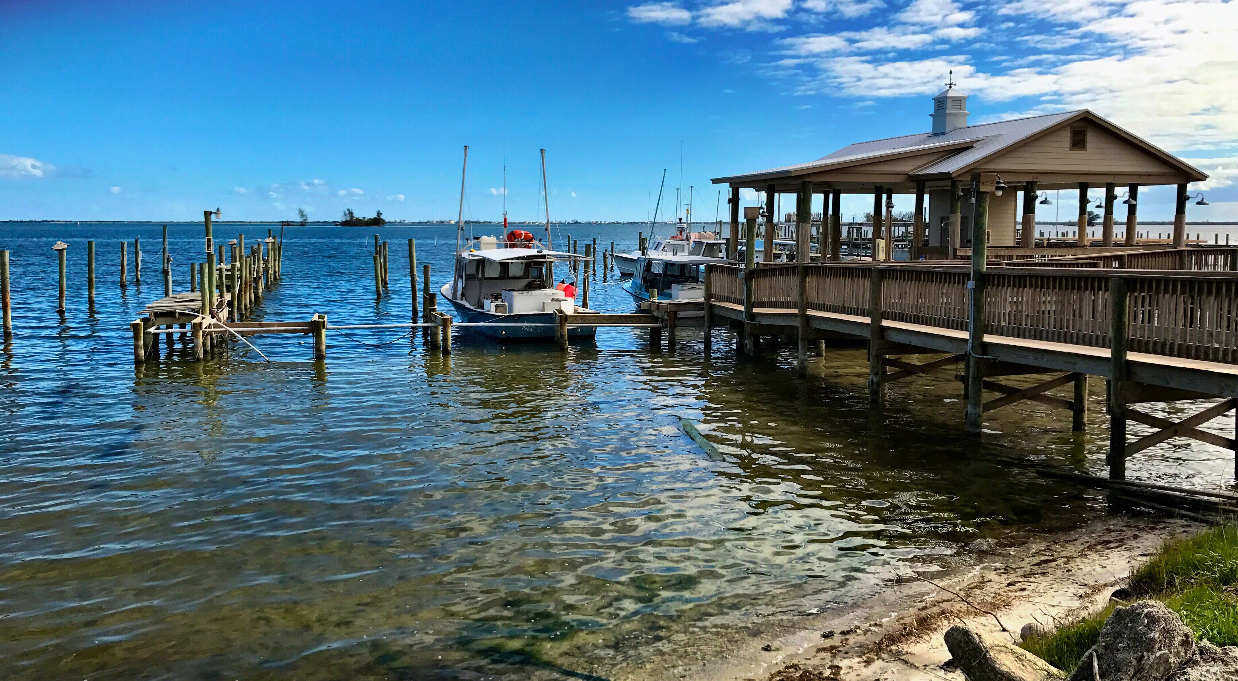 Crab E Bills Indian River Seafood, Sebastian, Treasure Coast Zomato