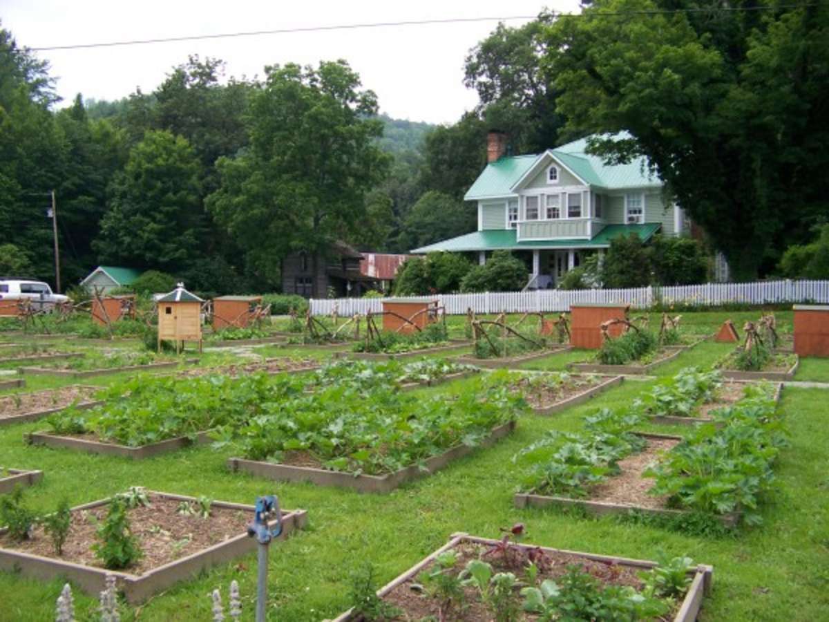 Simplicity At Mast Farm Inn Banner Elk Banner Elk Urbanspoon