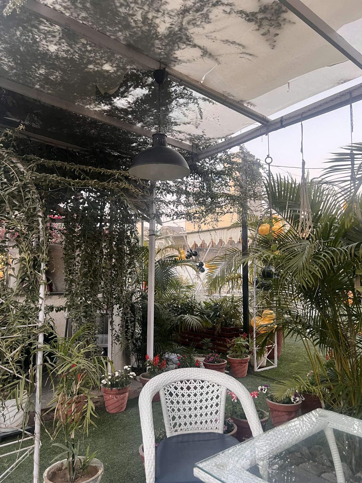 Nutmeg Cafe, Vaishali Nagar, Jaipur Zomato