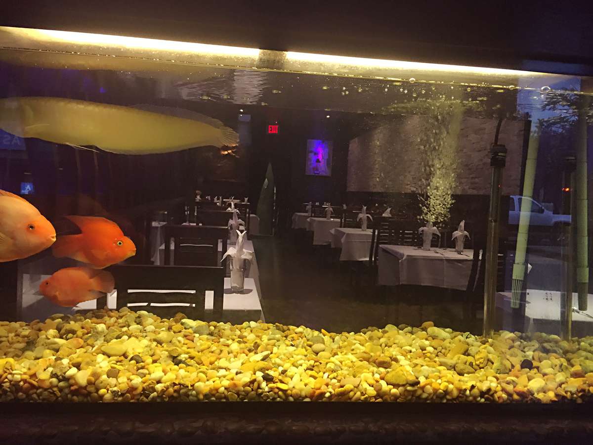 New Garden Restaurant Port Washington Long Island Urbanspoon