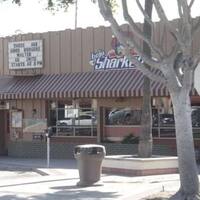 Baja Sharkeez Photos Pictures Of Newport Beach Baja Sharkeez Newport Beach