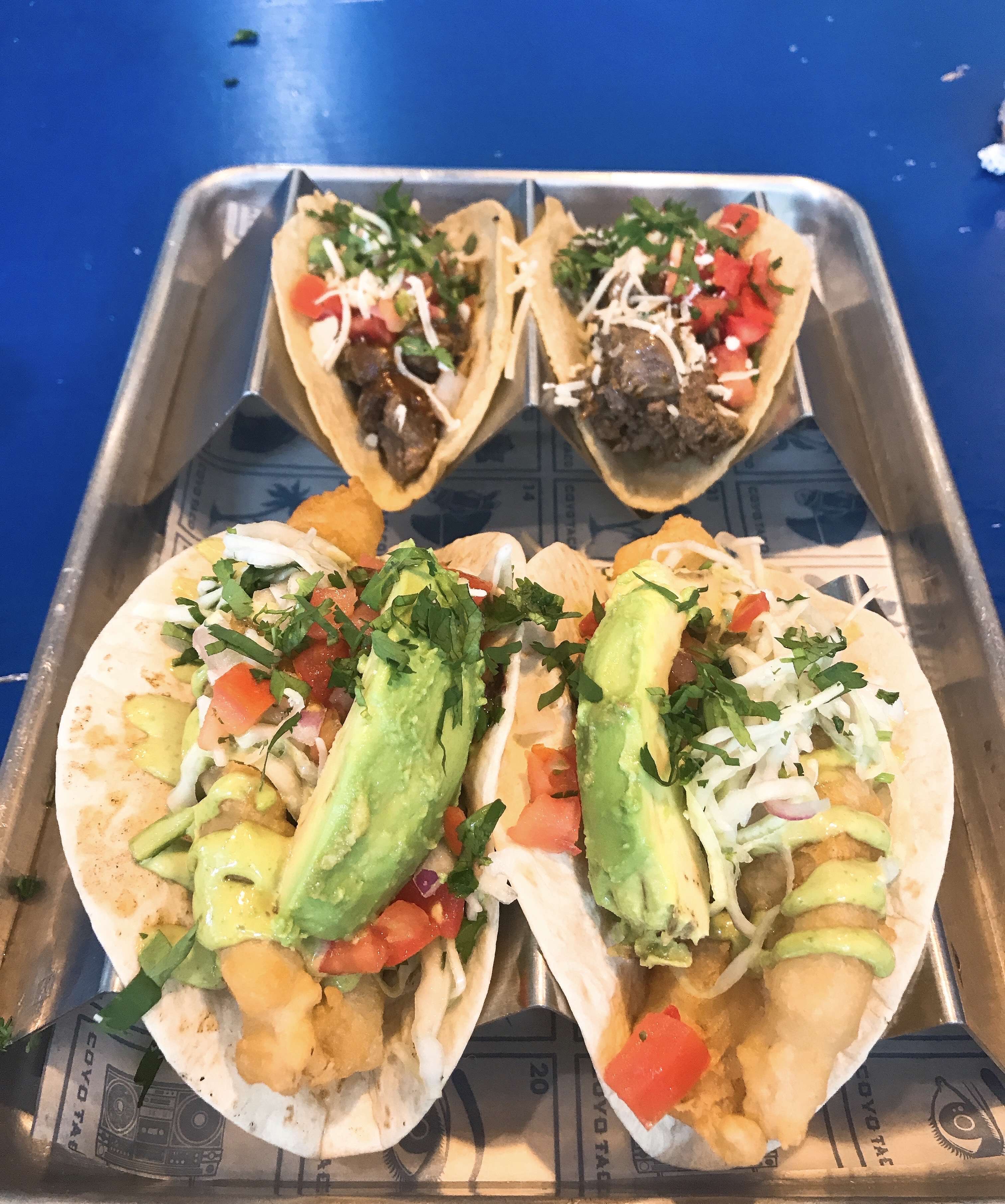 Coyo Taco Wynwood Edgewater Miami