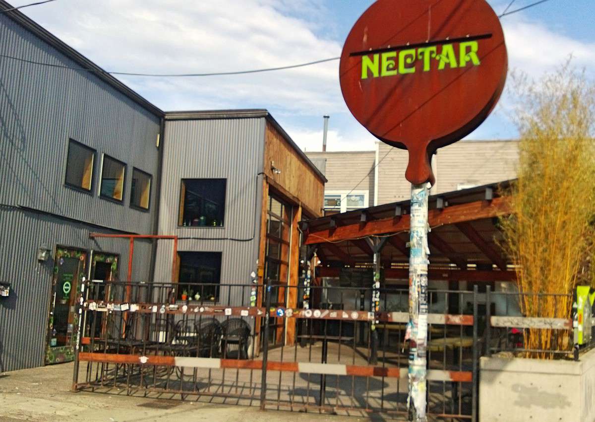 nectar lounge nectar lounge