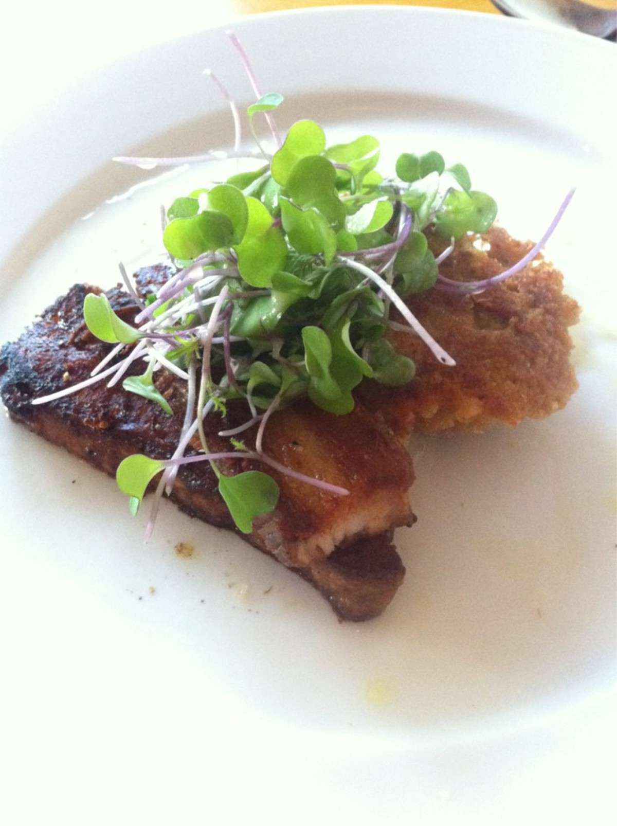 Coquina, Ashland, Medford Zomato