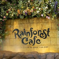 Rainforest Cafe Auburn Hills Hours Rainforest Cafe Auburn Hills Hours