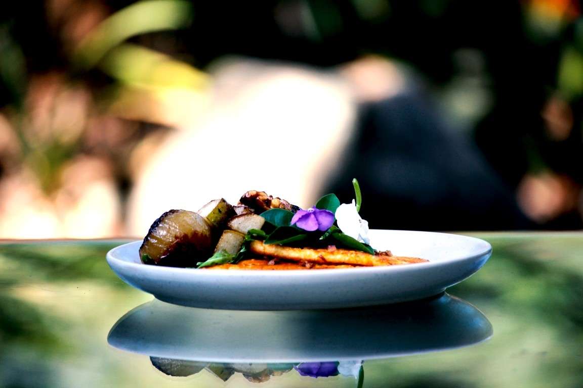 Rainforest Restaurant, Tamborine Mountain, Tamborine Mountain