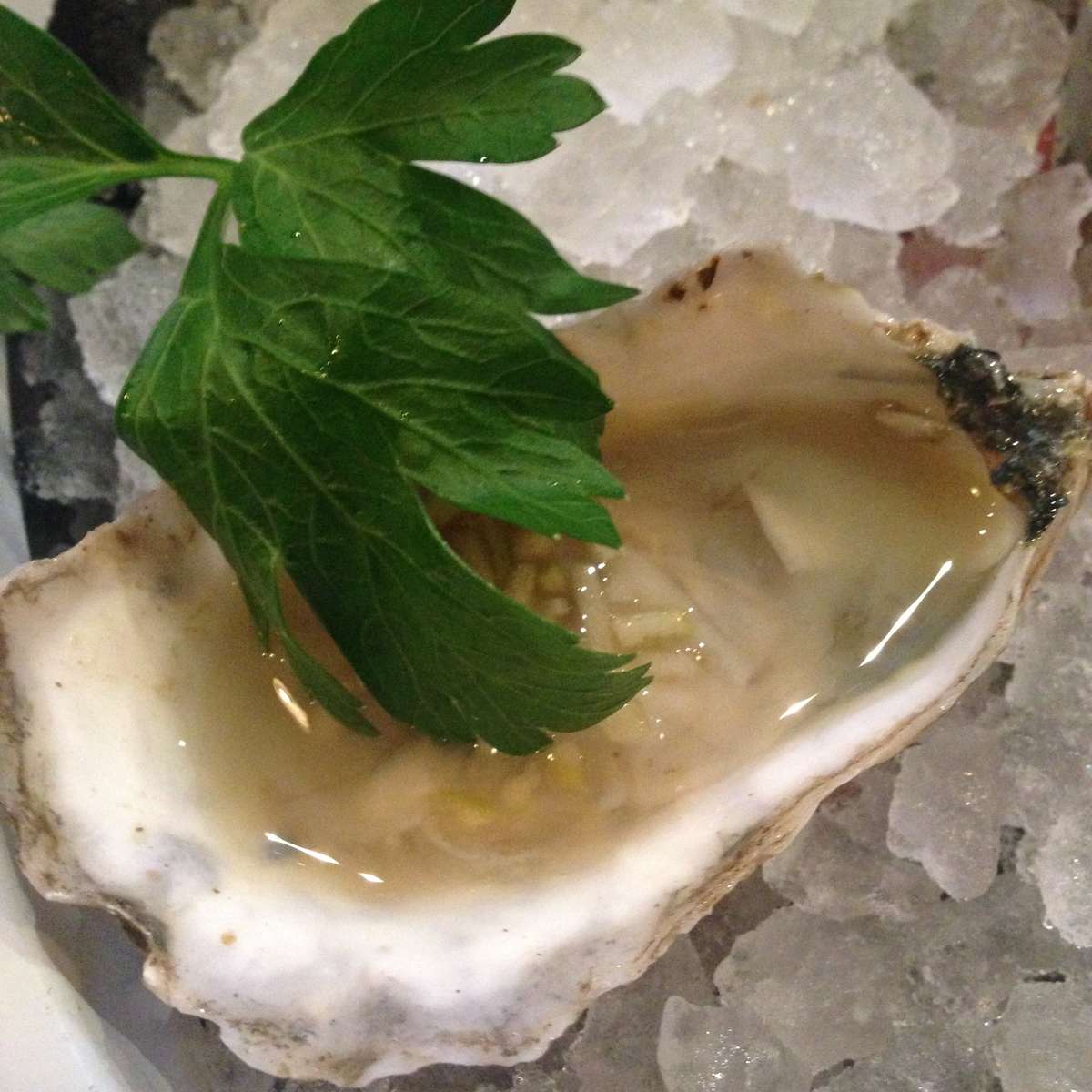 Mussel Bar & Grille, Harbor East, Baltimore Zomato