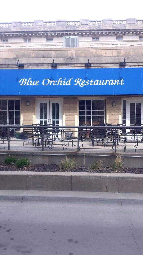 Menu of Blue Orchid Thai Restaurant, Haymarket, Lincoln