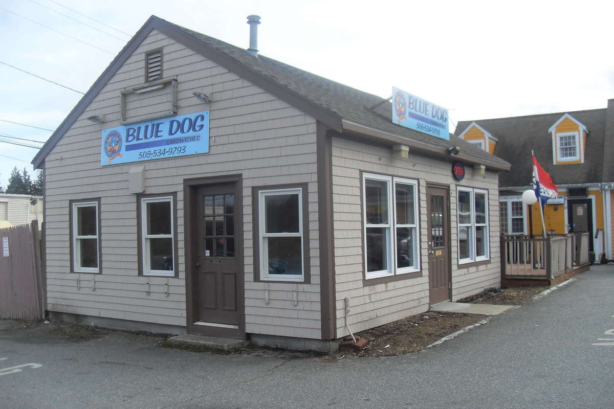 Blue Dog Restaurant, Hyannis, Cape Cod Zomato