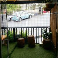 The Cat Lounge Photos Pictures of The Cat Lounge The Cat Lounge Photos Pictures of The Cat Lounge