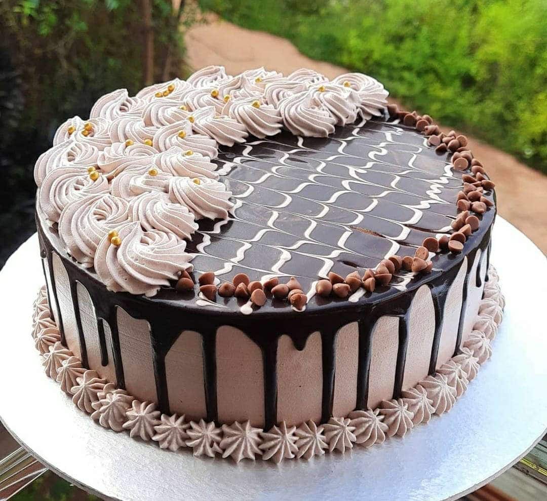 Cake Express, Sikar Road, Jaipur Zomato