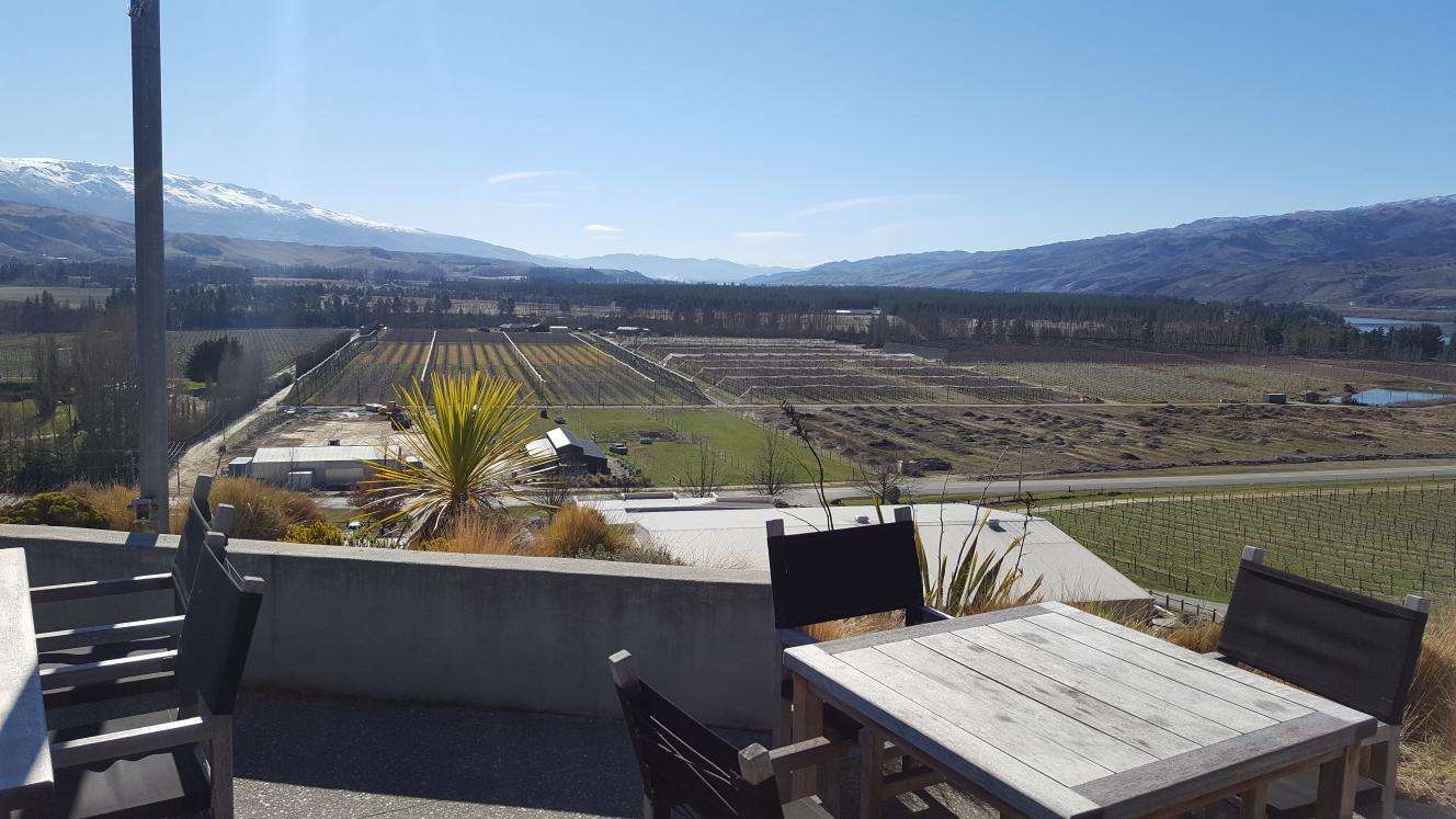 mt difficulty winery