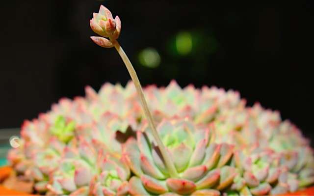 Terrain Garden Cafe Westport Fairfield County Urbanspoon Zomato