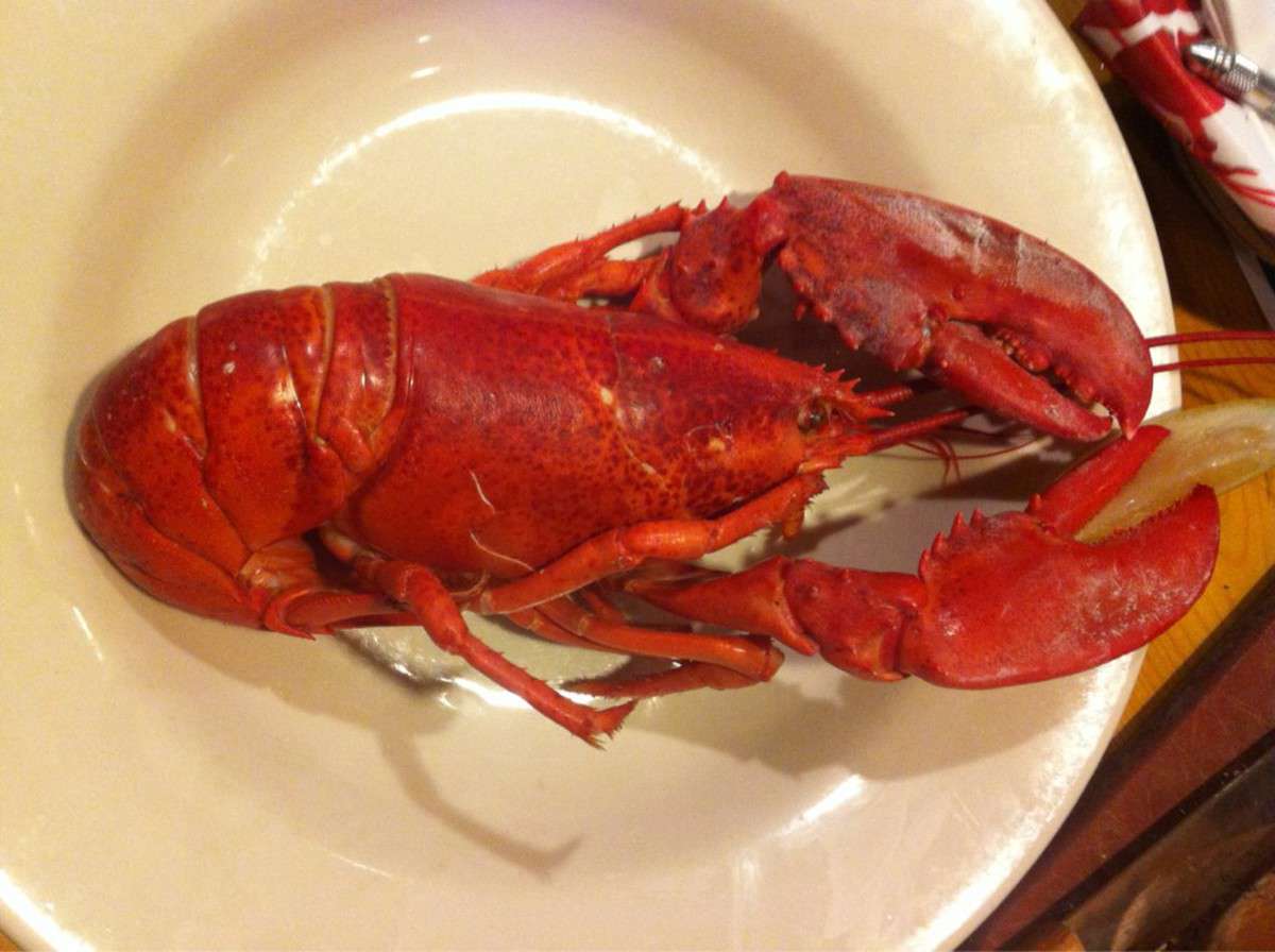 Menu of Johnson Seafood & Steak, Northwood, Manchester