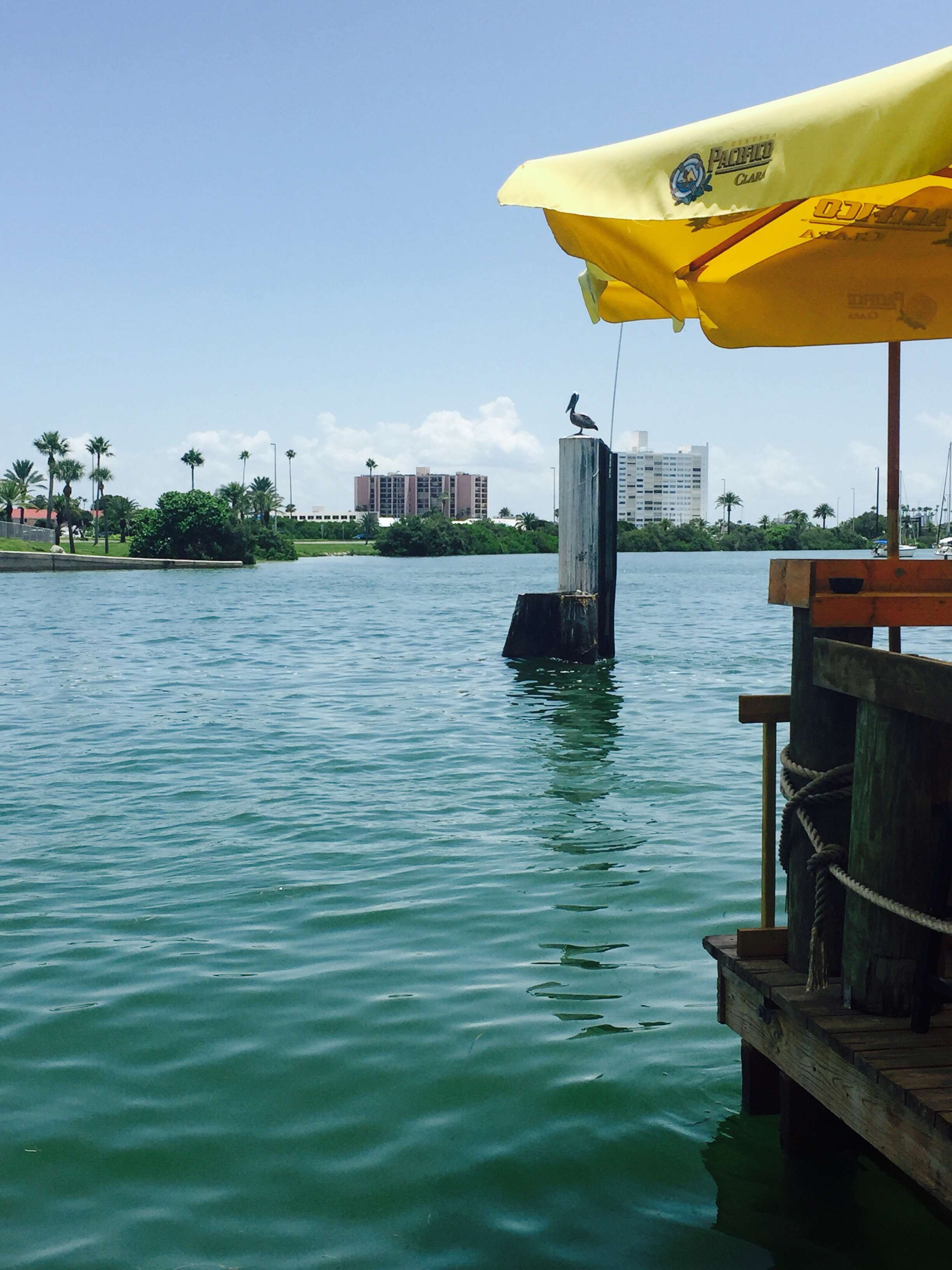 The Bait House Clearwater - bb317fc