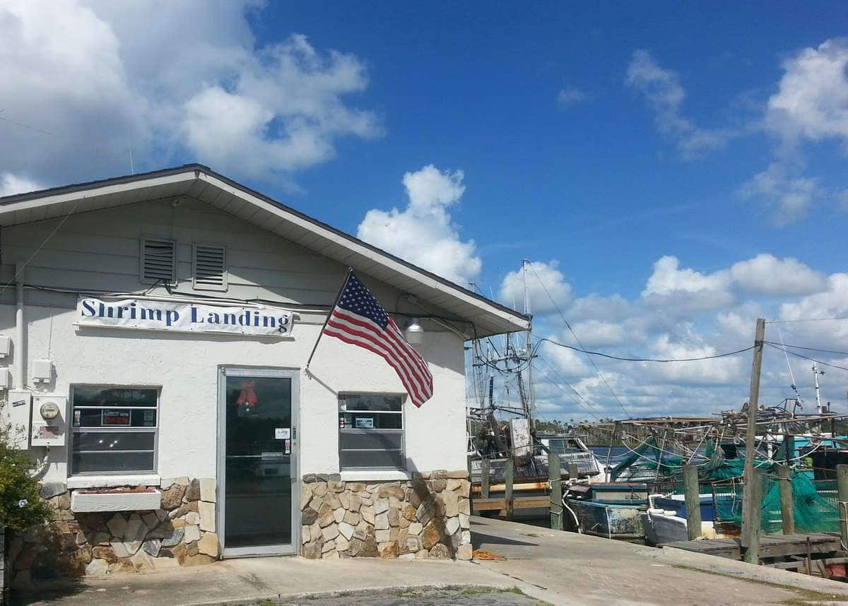 shrimp landing marina