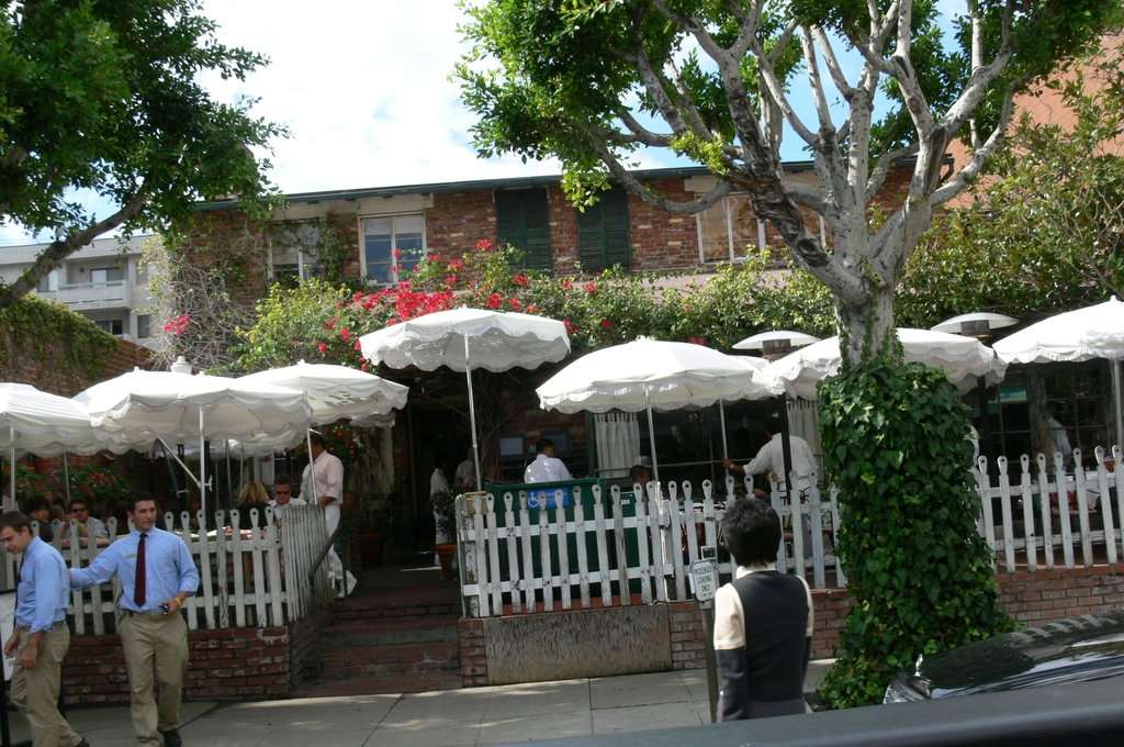 The Ivy Menu Menu For The Ivy Carthay Los Angeles